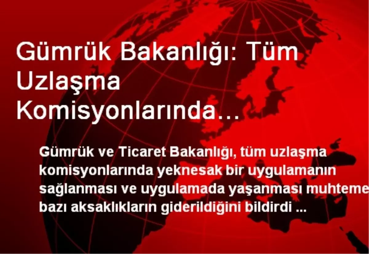 Gümrük Bakanlığı: Tüm Uzlaşma Komisyonlarında Yeknesak Bir Uygulama Sağlandı