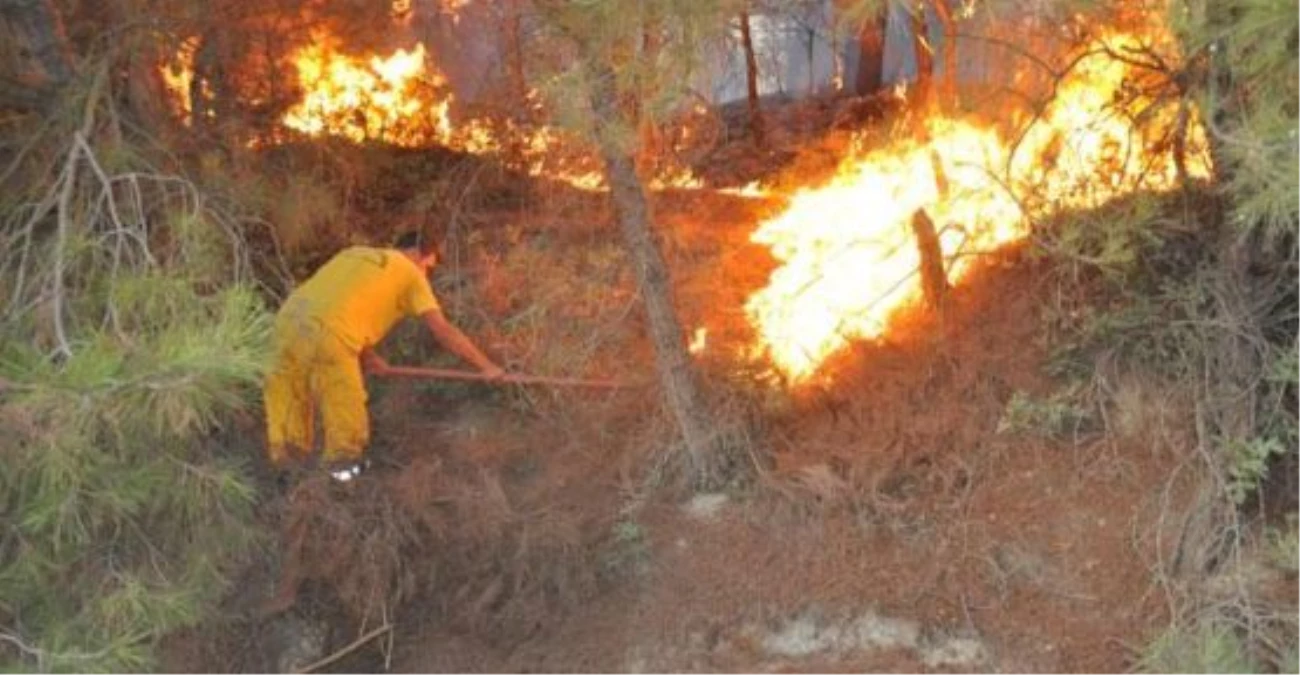 Karaman\'da Orman Yangını