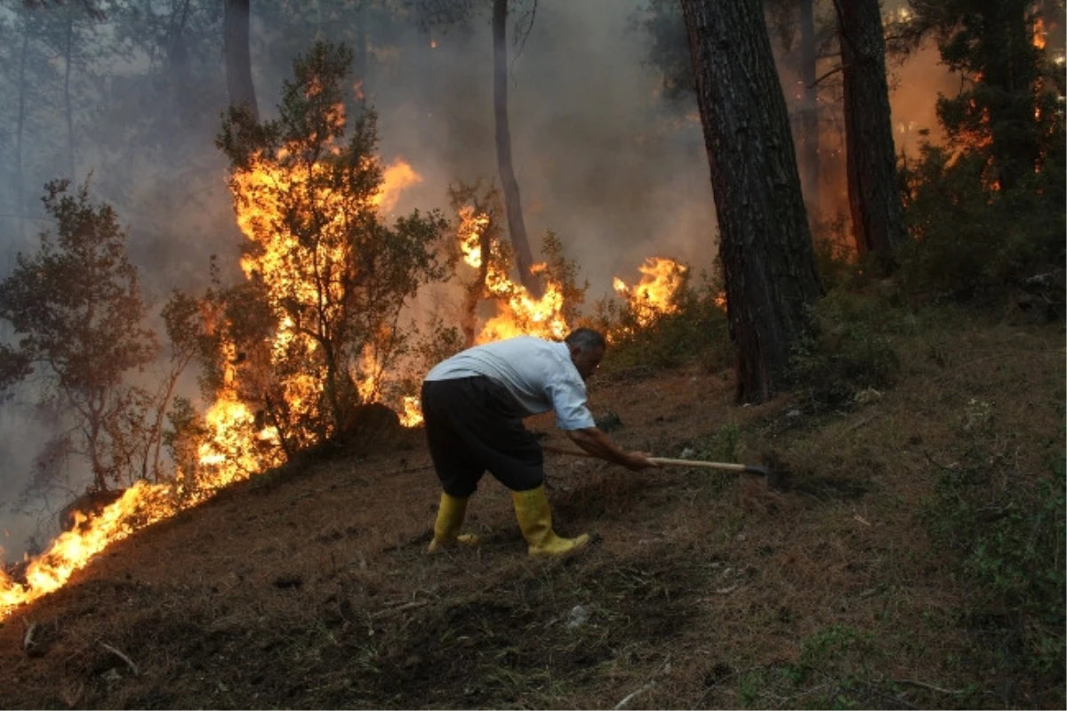 Kemer\'de Orman Yangını