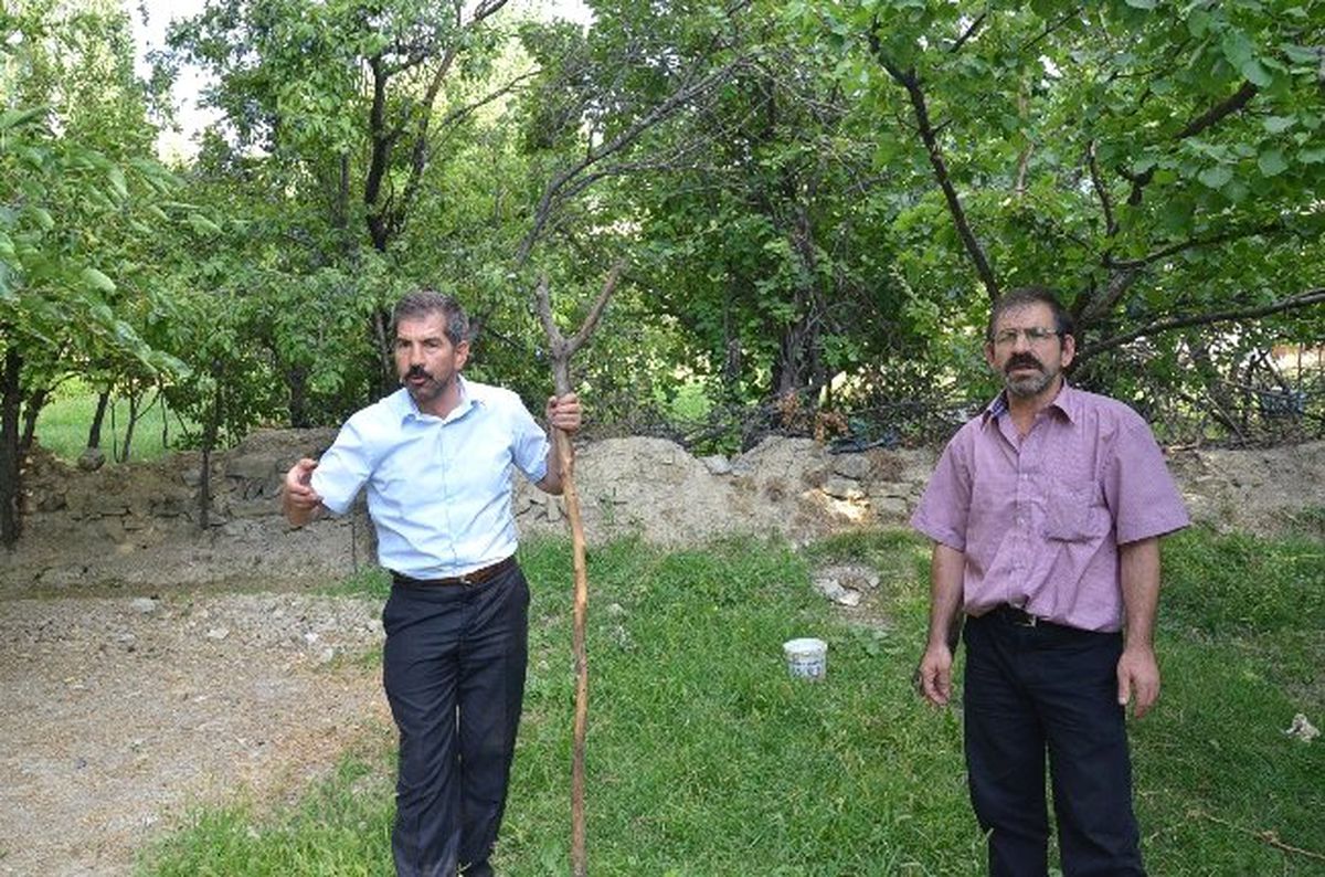Malatya\'da Şehre İnen Aç Kurtlar 3 Kişiye Saldırdı