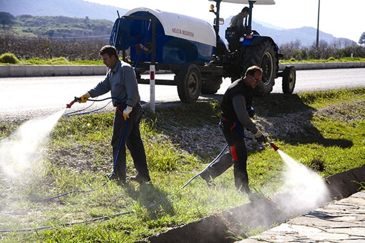 Selçuk'ta Haşere ile Mücadelede Hızlı Çözüm