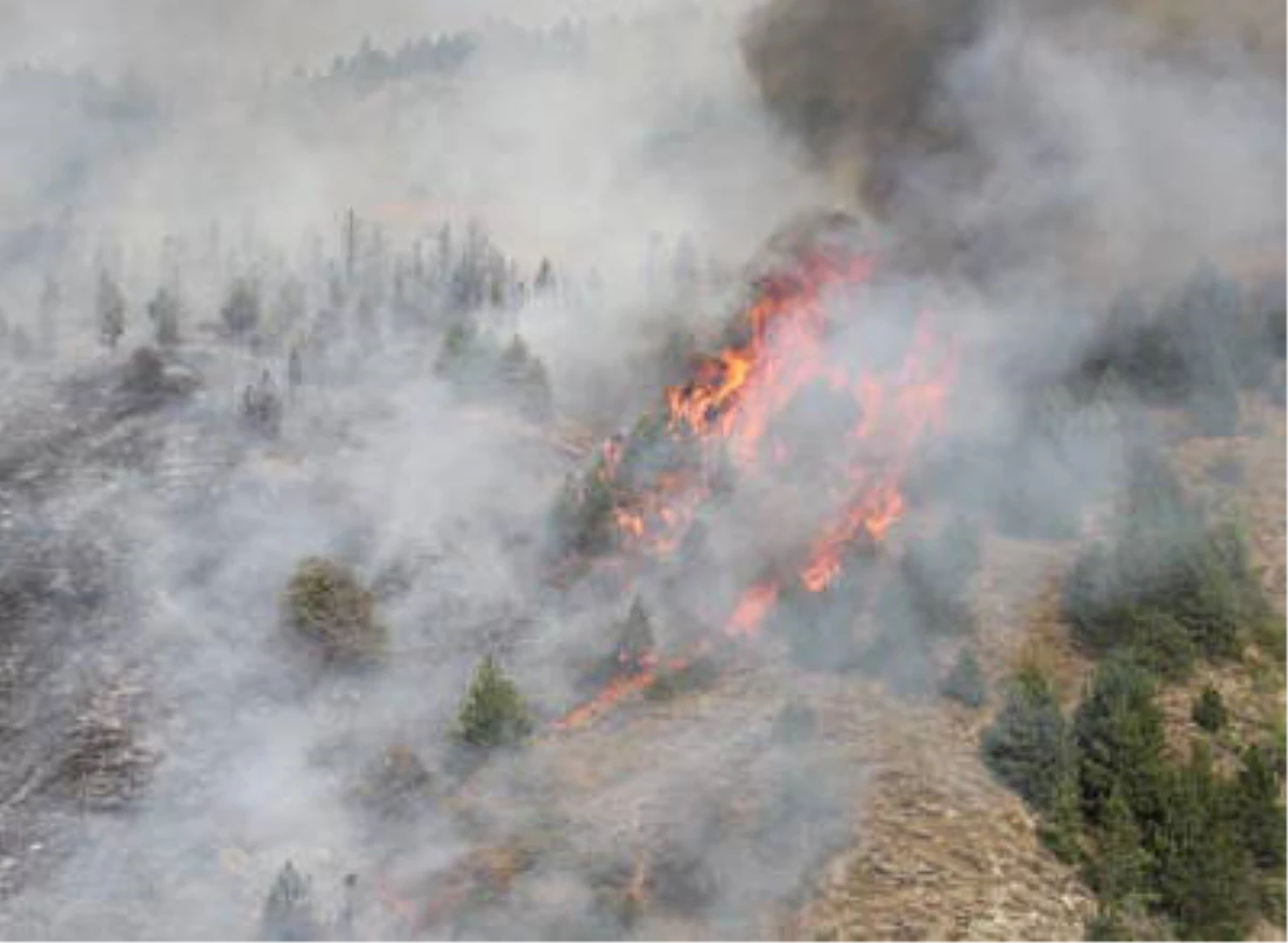 Afyonkarahisar\'daki Orman Yangını Kontrol Altına Alındı