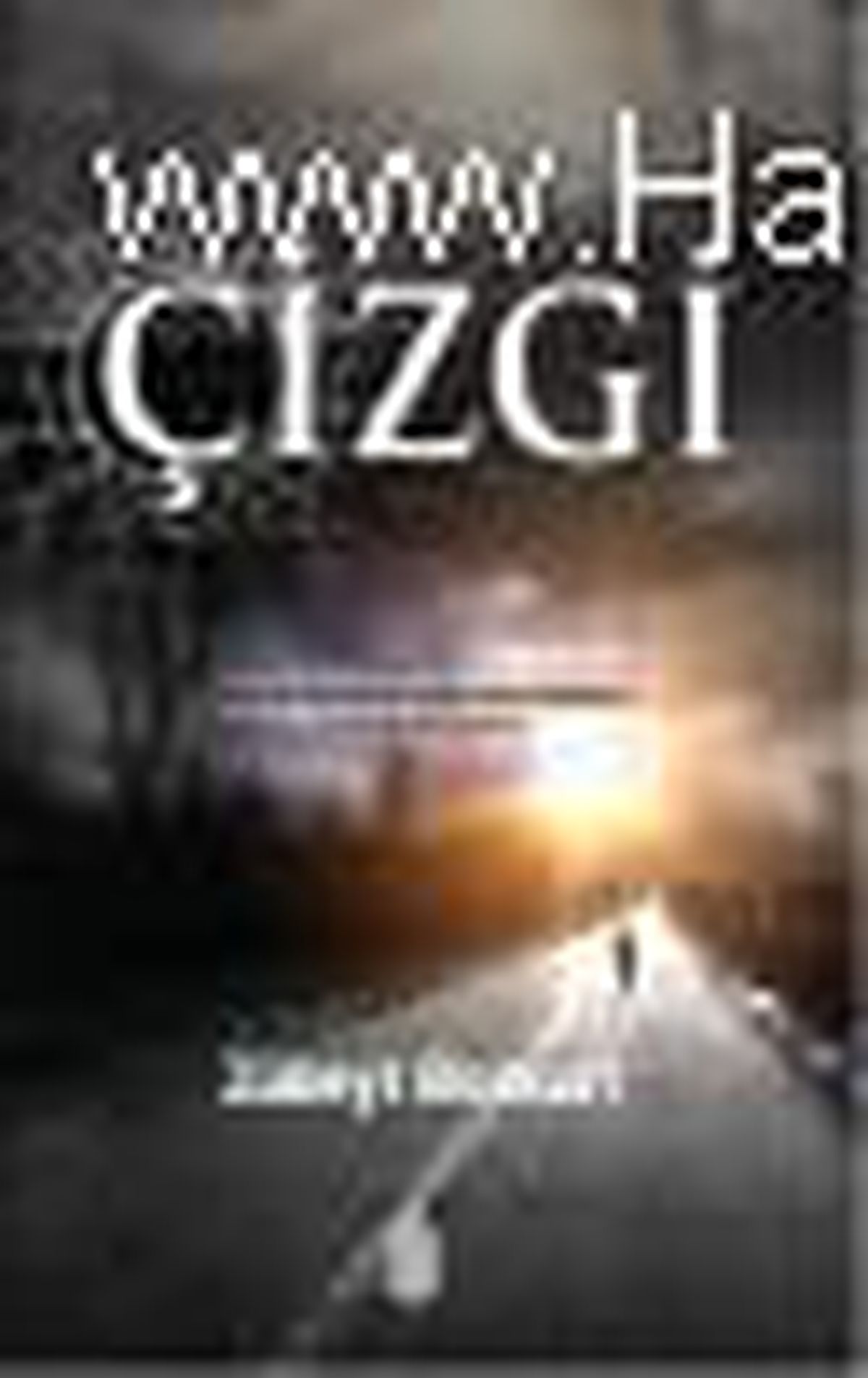 Çizgi Kitabı