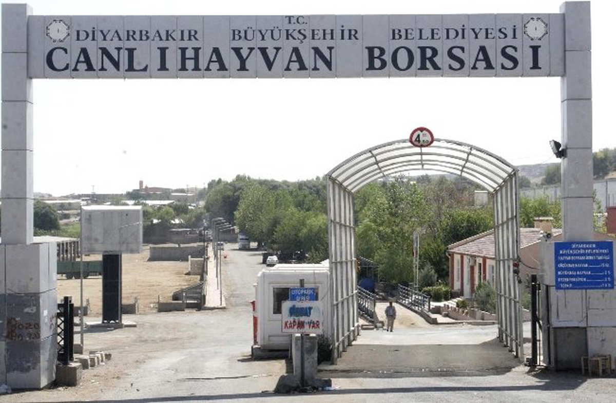 Diyarbakır\'da Arazi Kavgası: 3 Ölü, 6 Yaralı