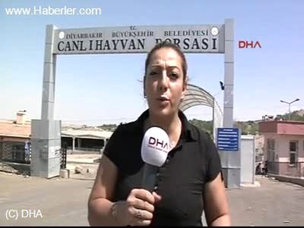 Diyarbakır\'da İki Ayrı Olay 4 Ölü, 8 Yaralıek