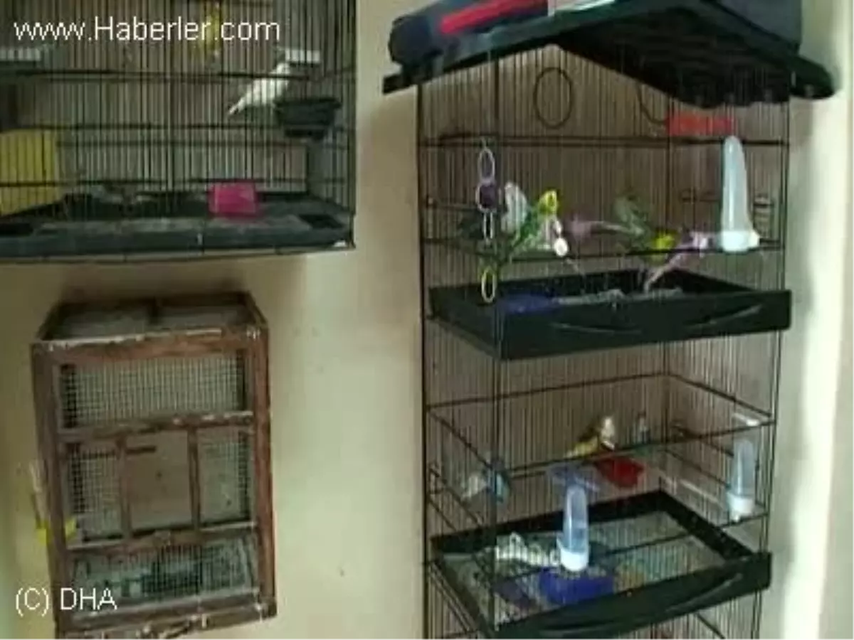 Pet Shop\'taki Hırsızlık Kamerada