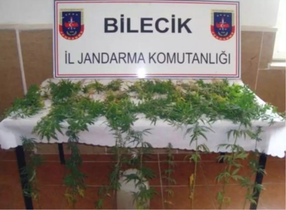 Bilecik\'te Uyuşturucu Operasyonu