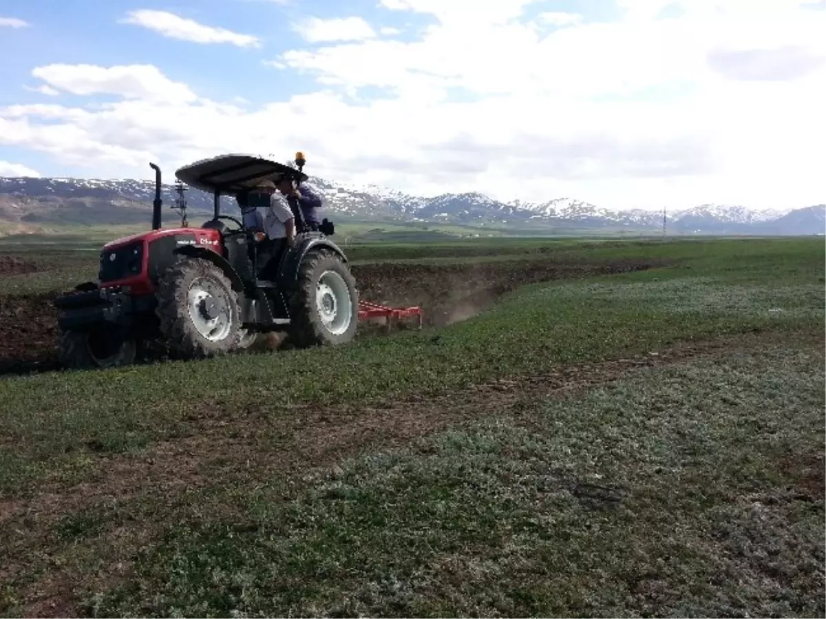 Erkunt Doğu Avrupa\'ya Türk Traktörü Satıyor