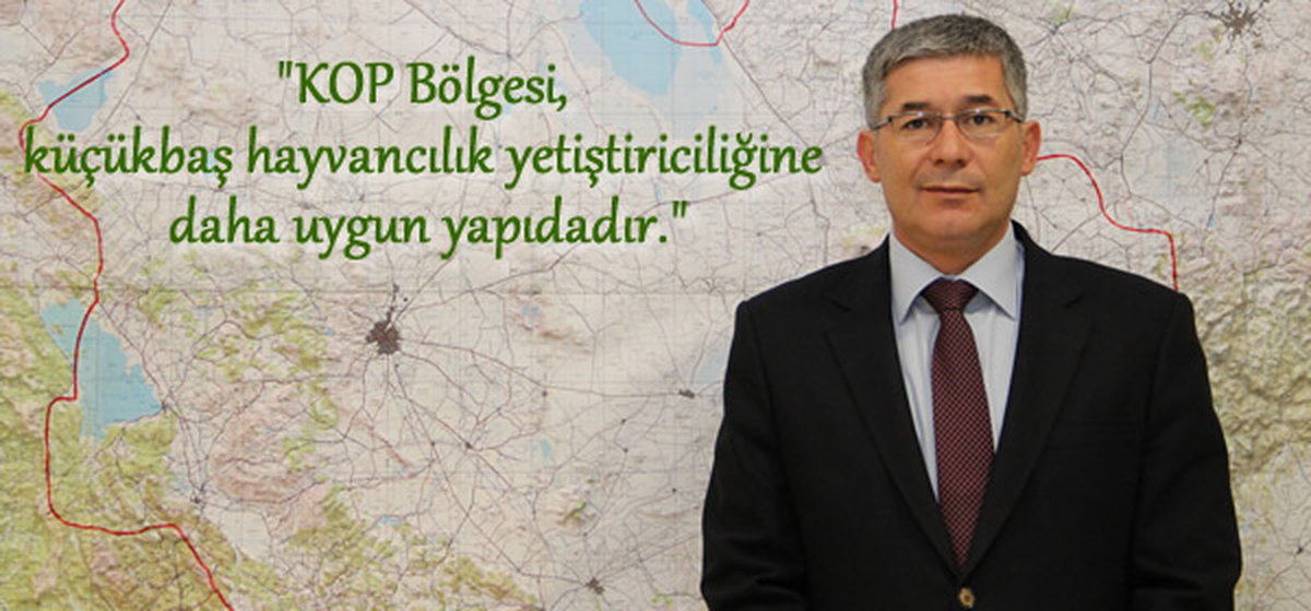 Kuraklıkla Mücadele İçin \'Az Su Tüketen Hayvan\' Önerisi