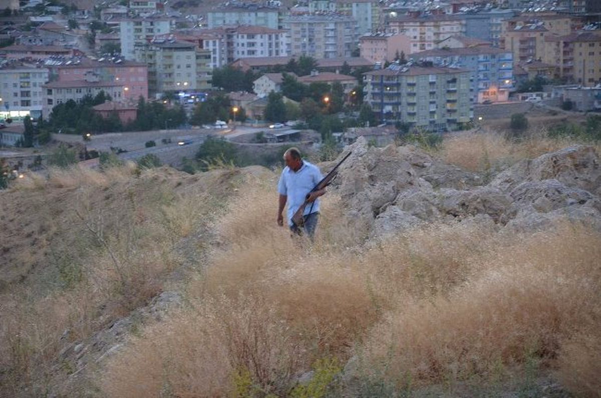 Polis ve Vatandaş Kurt Avında