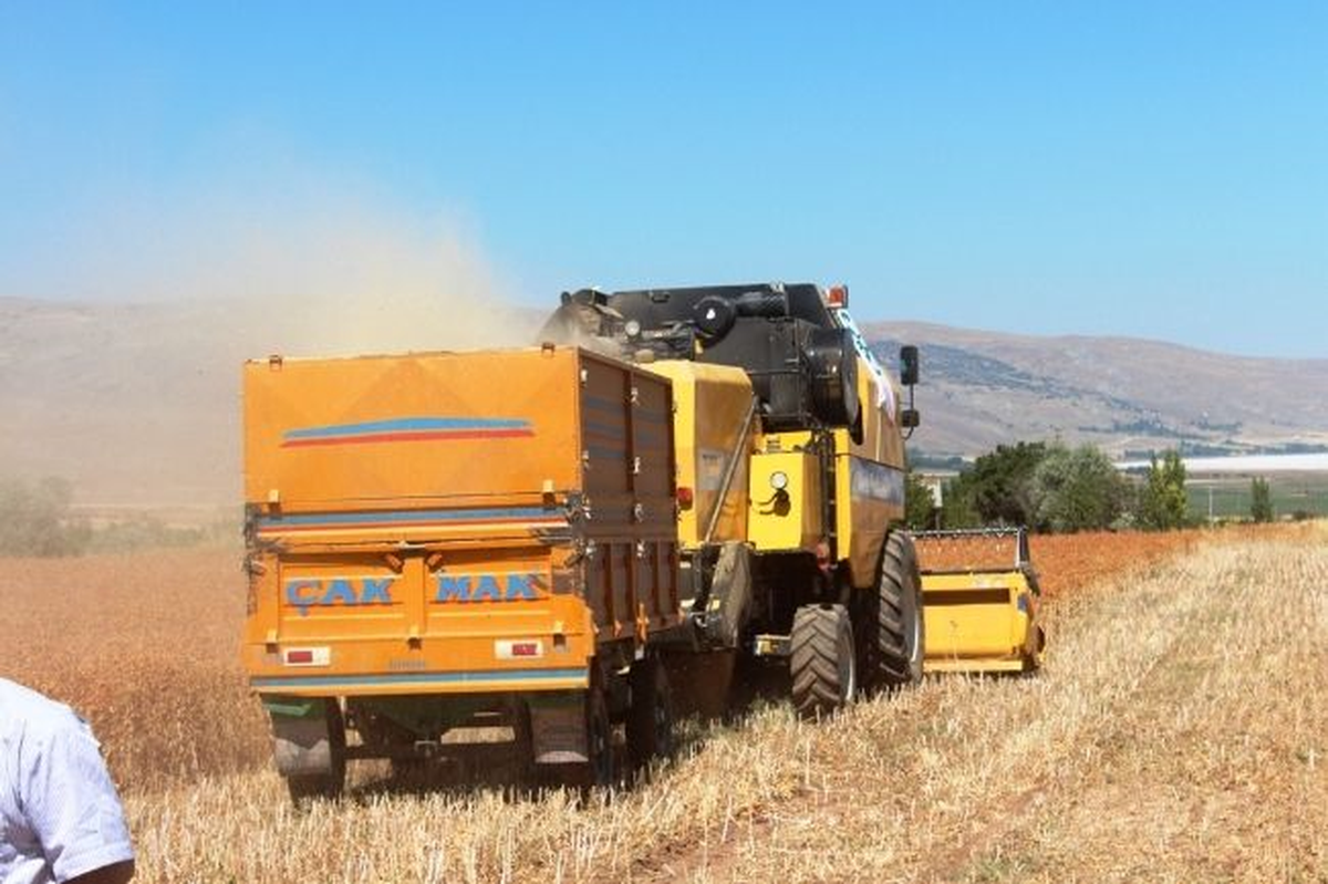 Şeker Fabrikası İlk Aspir Hasadını Gerçekleştirdi