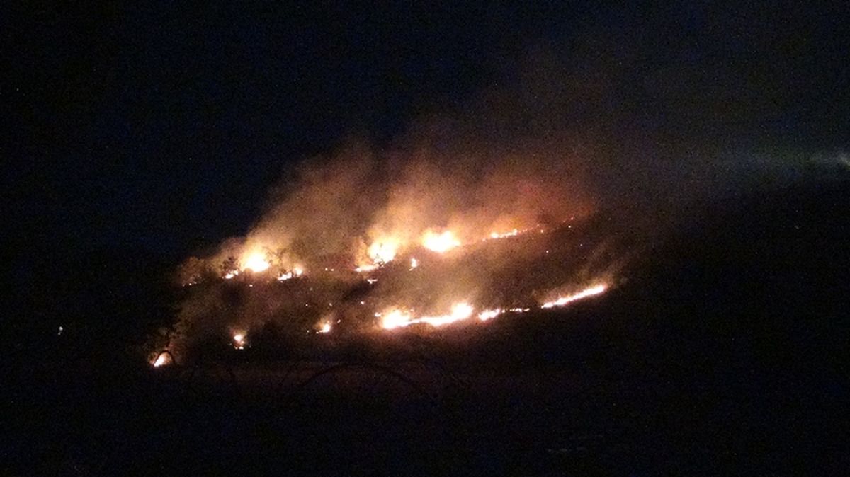 Tarım Alanında Çıkan Yangın Korkuttu