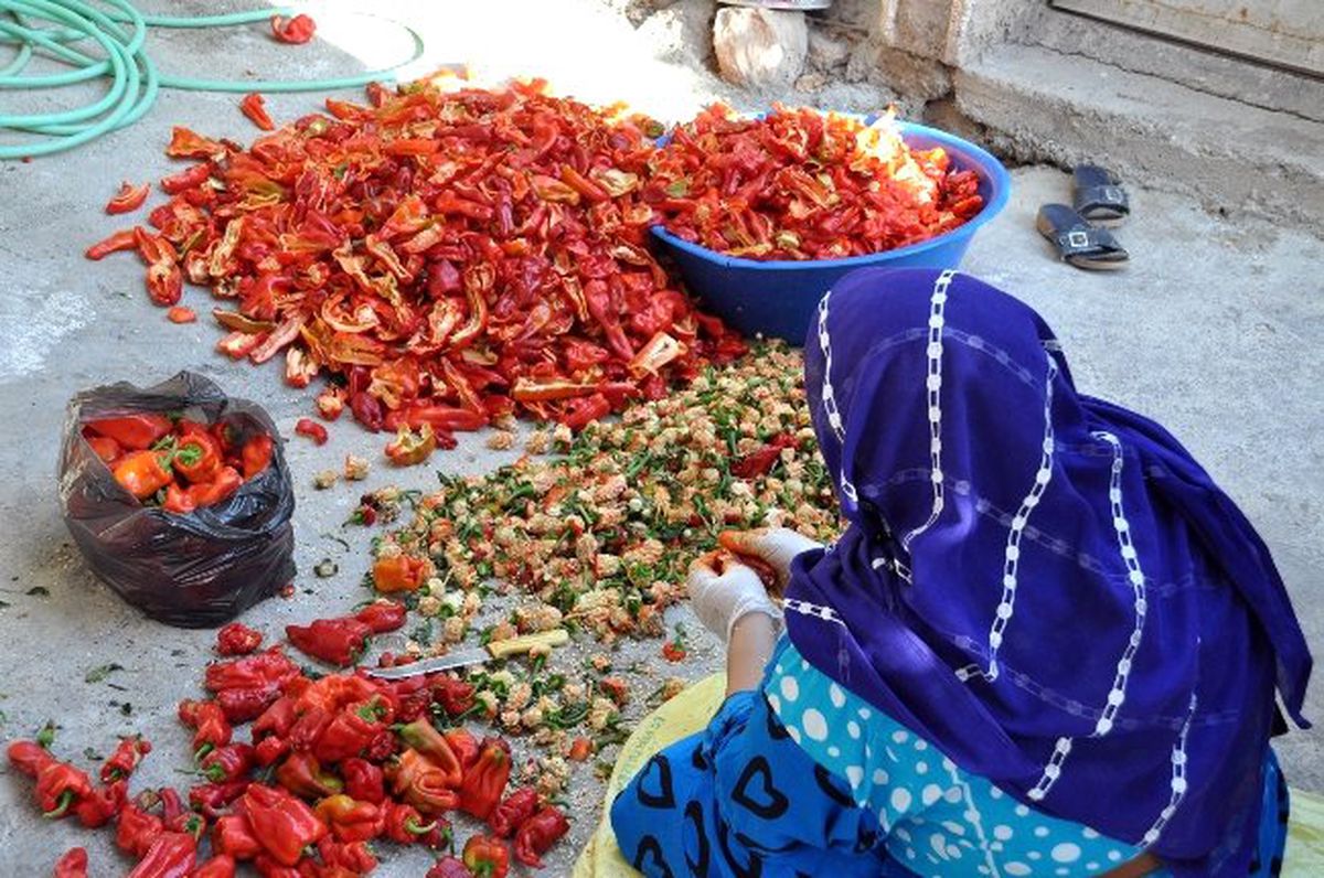 Akçakale'de Kırmızı İsot Sezonu Başladı