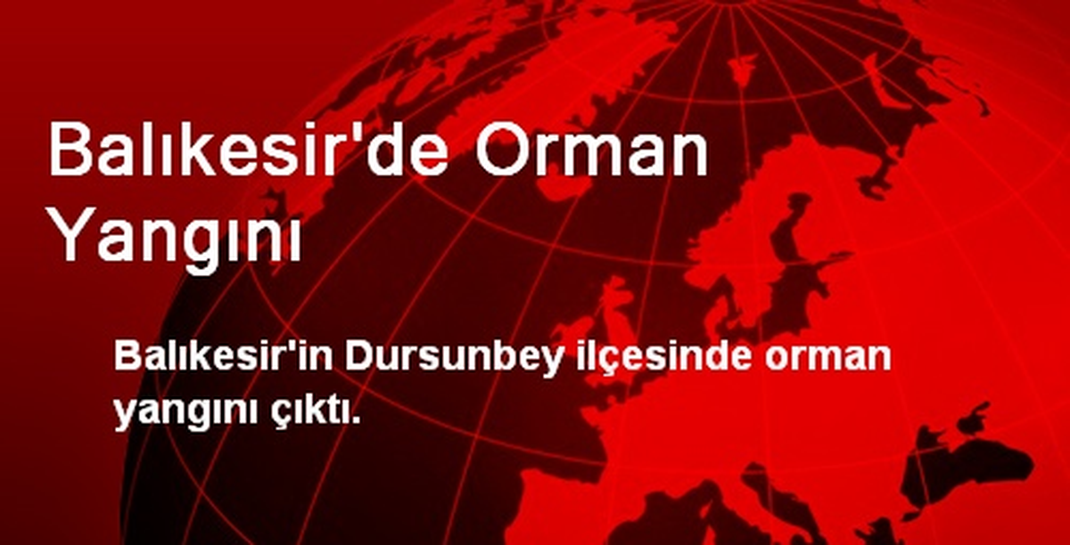 Balıkesir\'de Orman Yangını