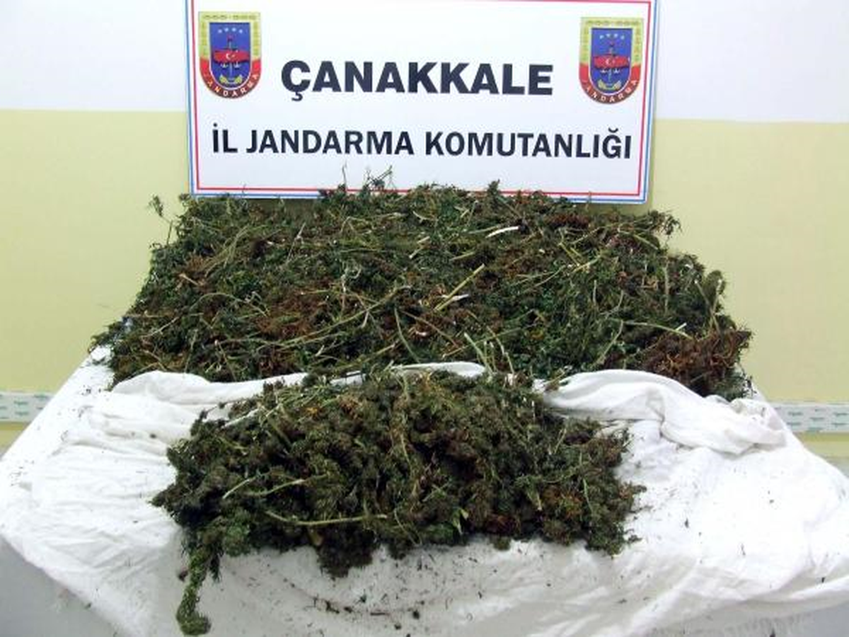 Jandarmadan Uyuşturucu Operasyonu