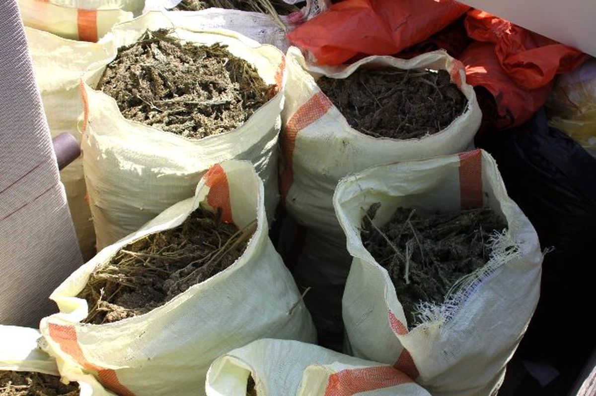 Kamyondan 310 Kilo Esar Çıktı