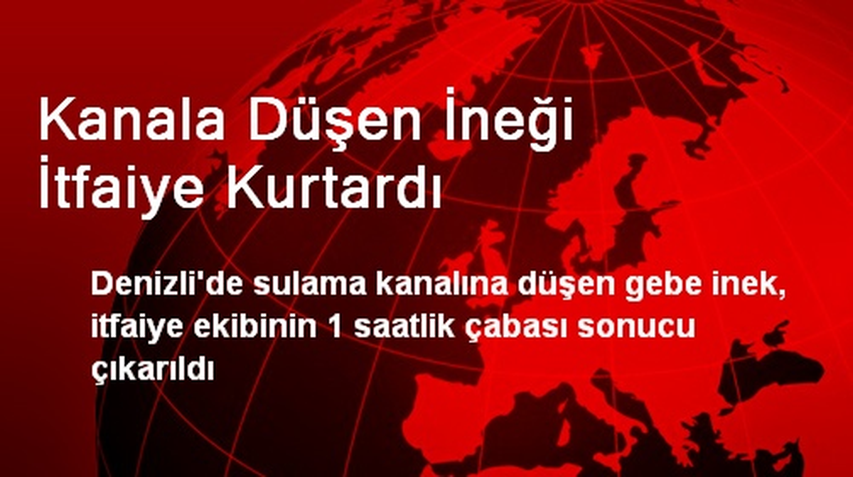 Kanala Düşen İneği İtfaiye Kurtardı