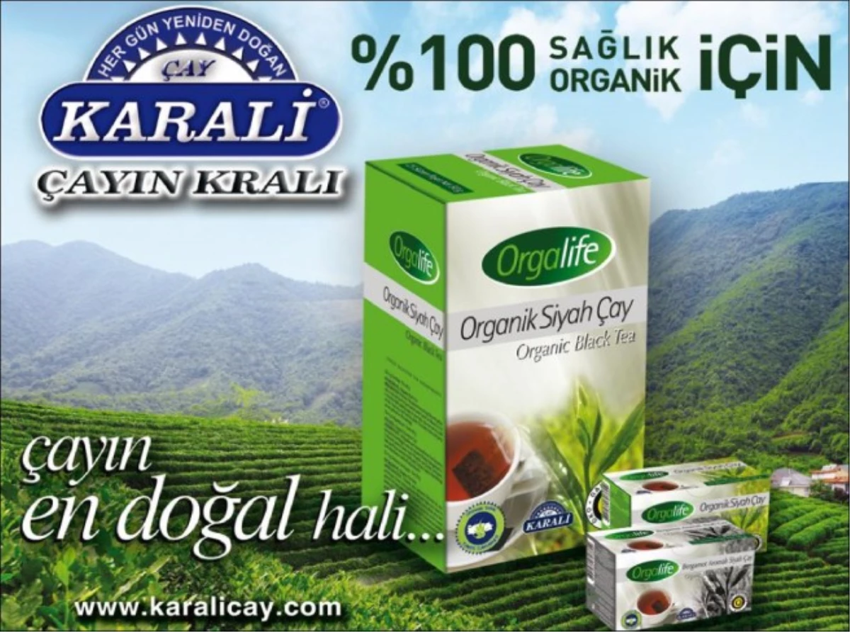 Türkiye\'de Çay İlk Kez Yalova\'da Yetiştirilmiş