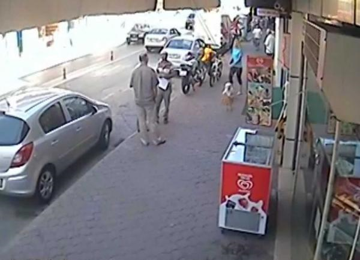 Kediden Kaçan Köpek Sahibinin Kucağına Sığındı