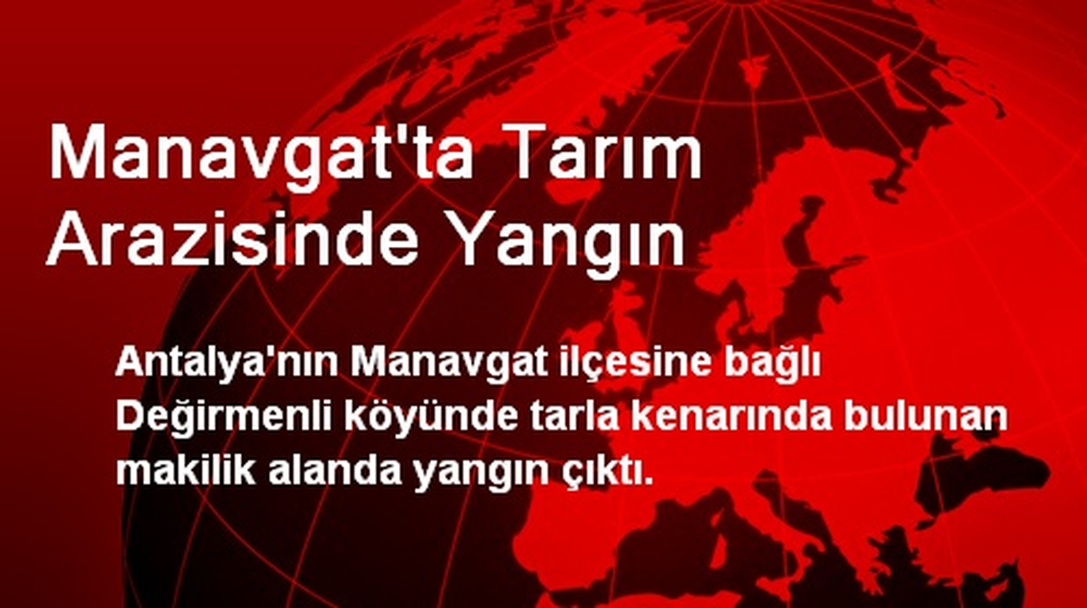 Manavgat\'ta Tarım Arazisinde Yangın