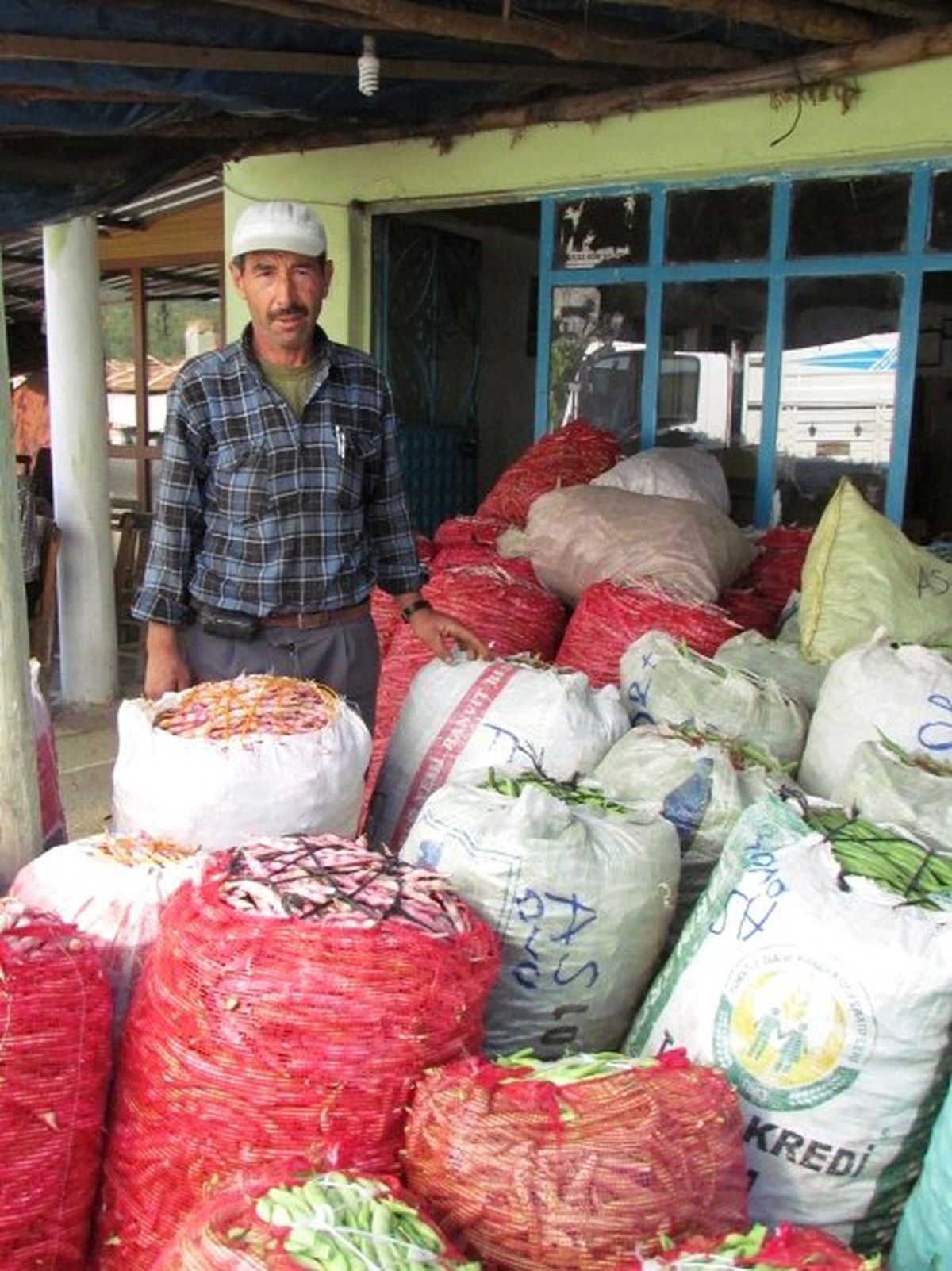Ödemiş\'in Yaylalarında Hasat Zamanı