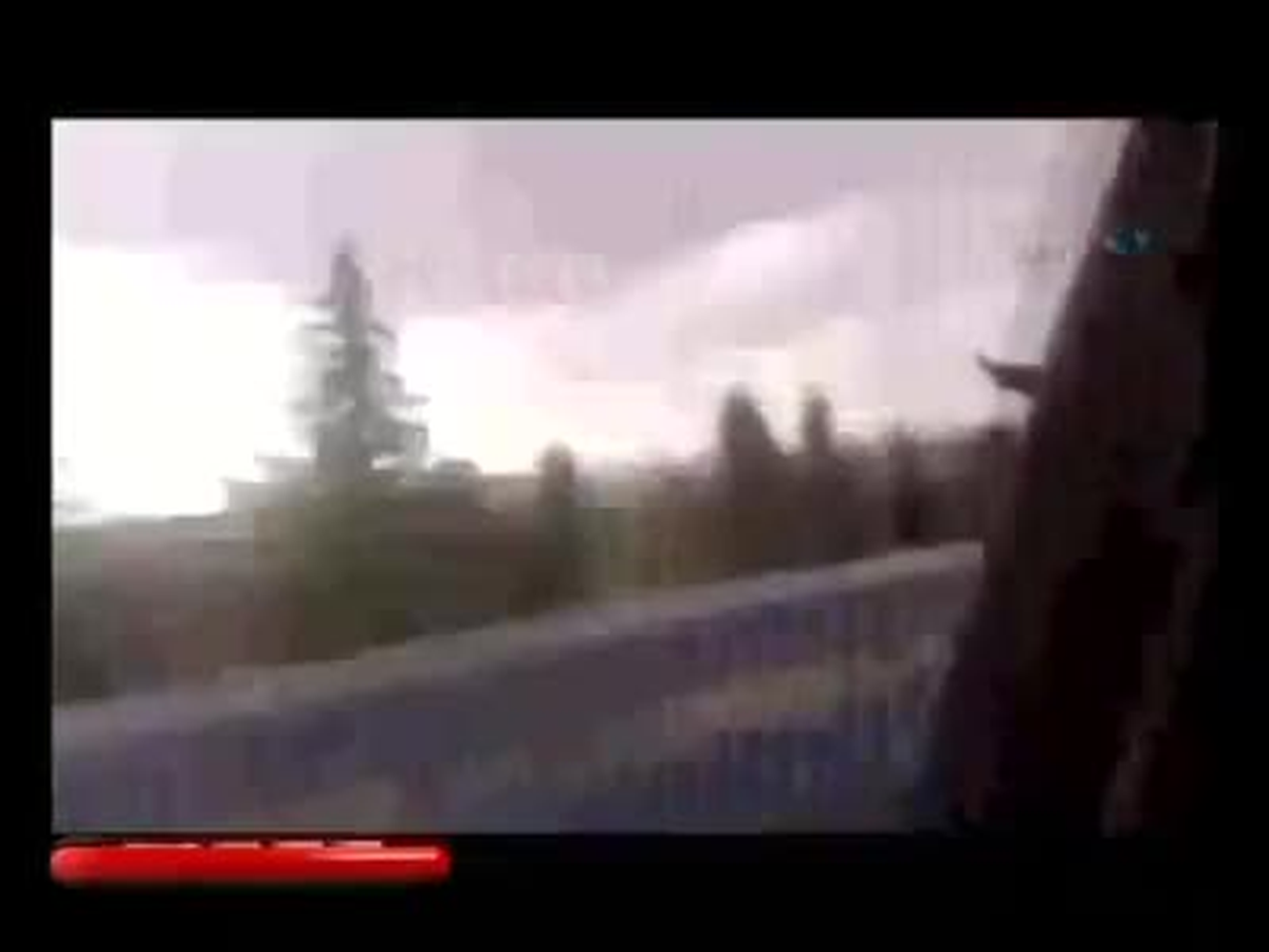 Öfkeli Boğa Otoyolda Terör Estirdi