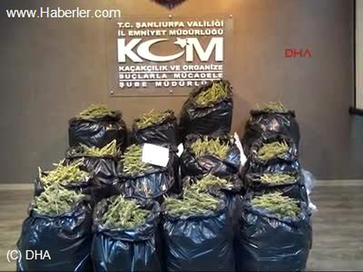 Şanlıurfa\'da 127 Kilo 800 Gram Esrara 4 Gözaltı