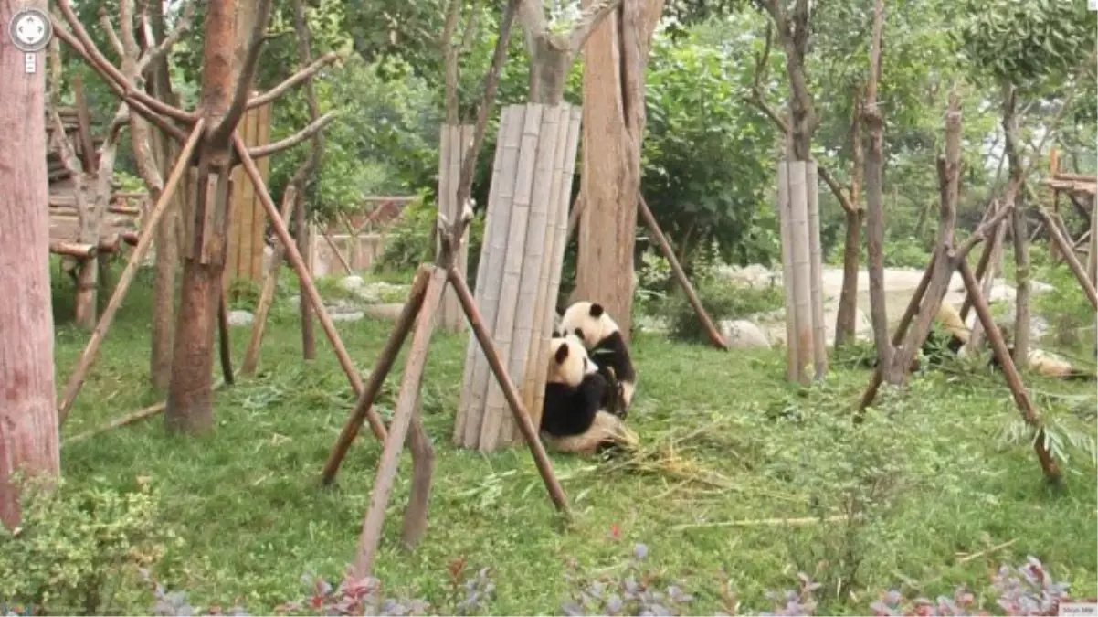 Street View yenilendi!