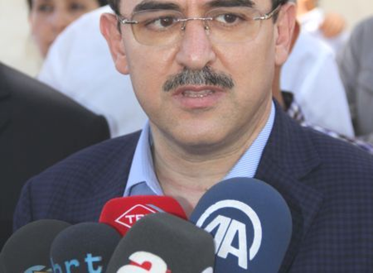Ergin: Çözüm Sürecinin Telafisi Var Ama Can Kayıplarını Yok