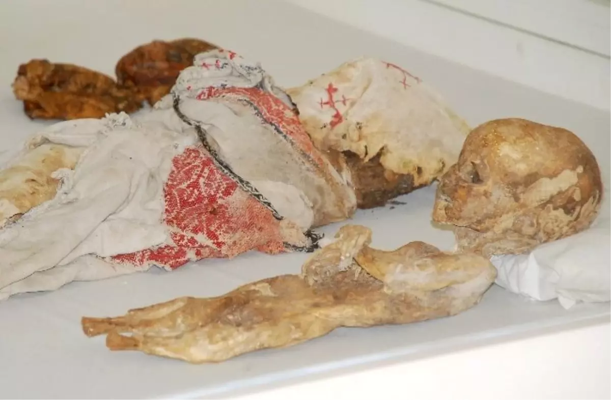 Aksaray Müzesi\'ndeki Mumyalar İklim Şartlarına Göre Korunacak