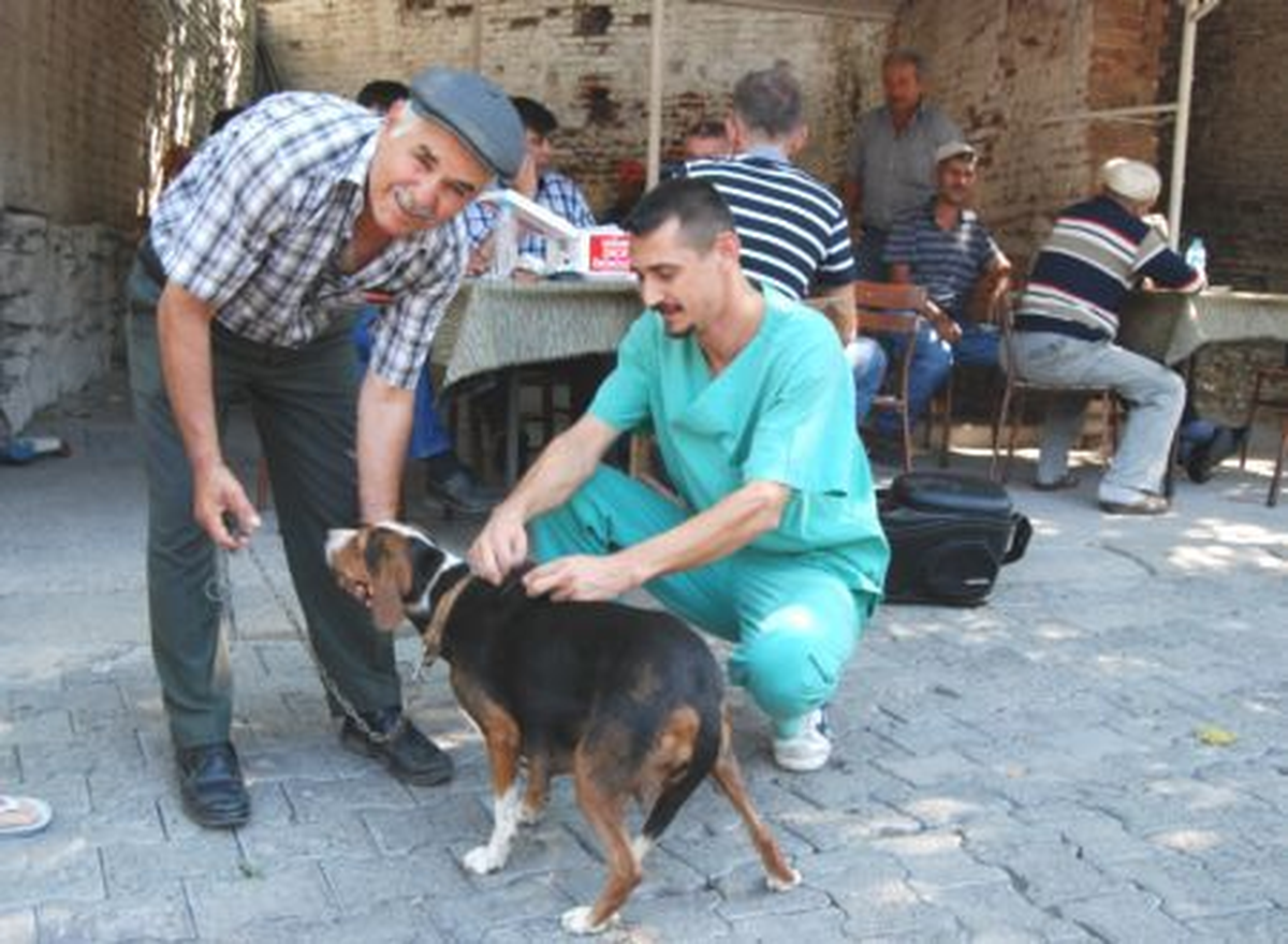 Bayramiç\'te Aşılama Çalışmaları