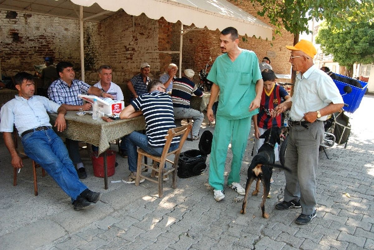 Bayramiç\'teki Köpekler Aşılandı