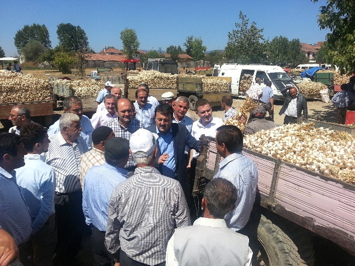 AK Parti\'li Gülşen\'den Sarımsak Pazarına Ziyaret