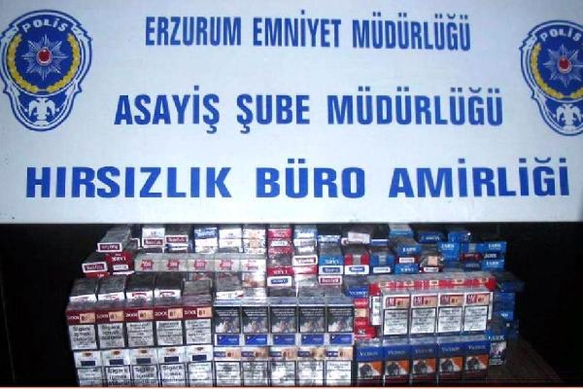 Gündüz Keşif, Gece Soygun Yaptı