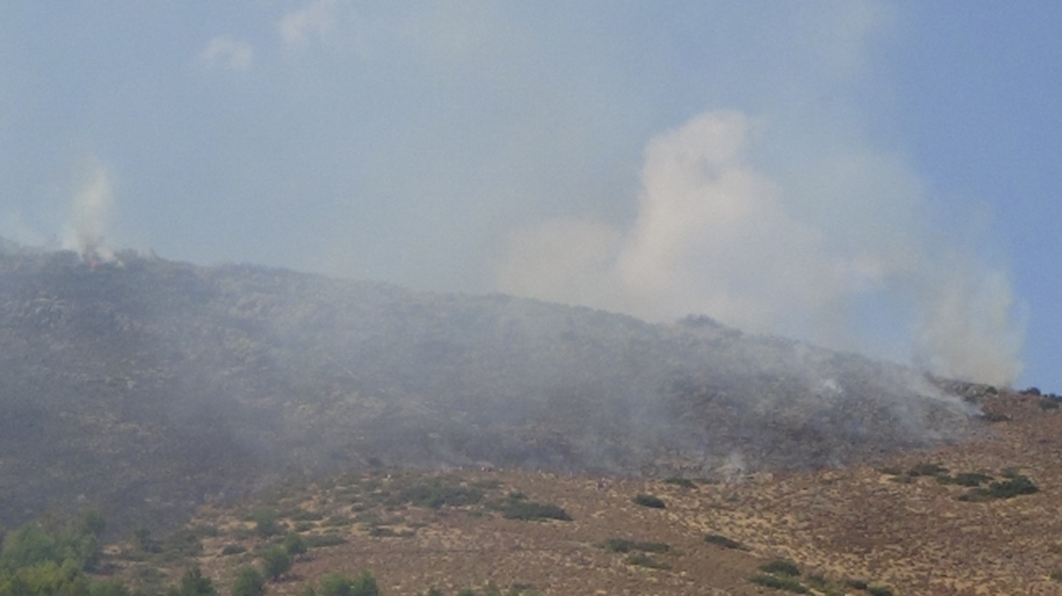Hatay\'da Orman Yangını
