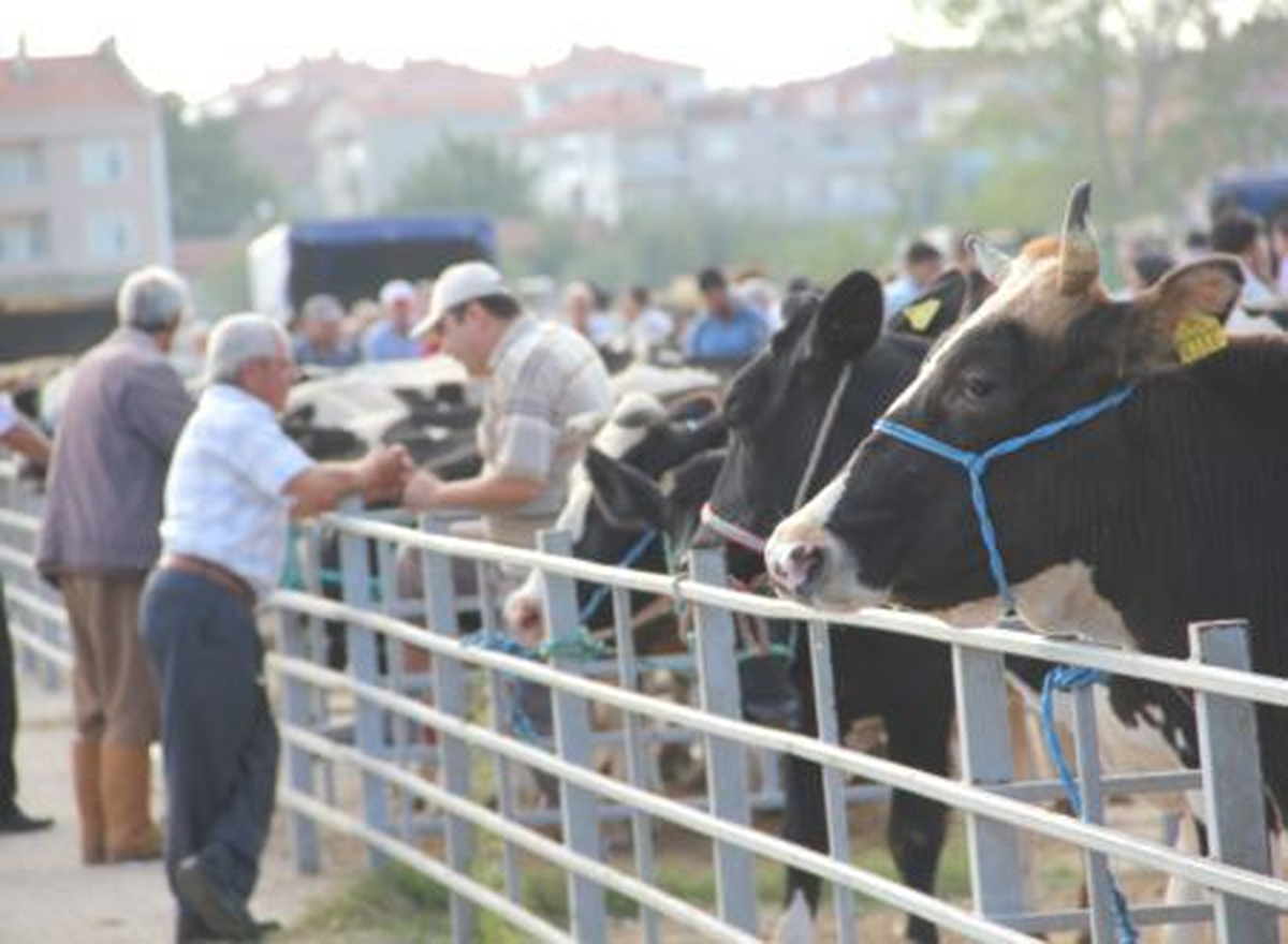 Havsa Canlı Hayvan Pazarı Açıldı