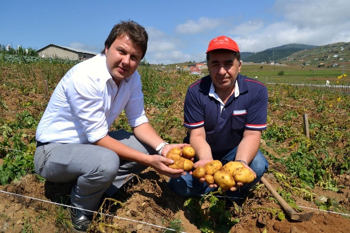 Makineli Patates Ekiminde Yüzde 100\'e Varan Başarı Yakalandı