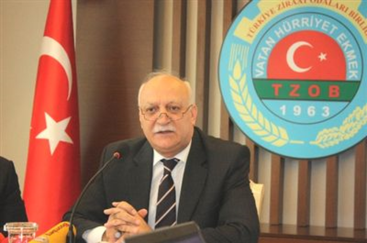 "Mısır ve Suriye\'ye Demokrasinin Geleceğine İnanıyorum"