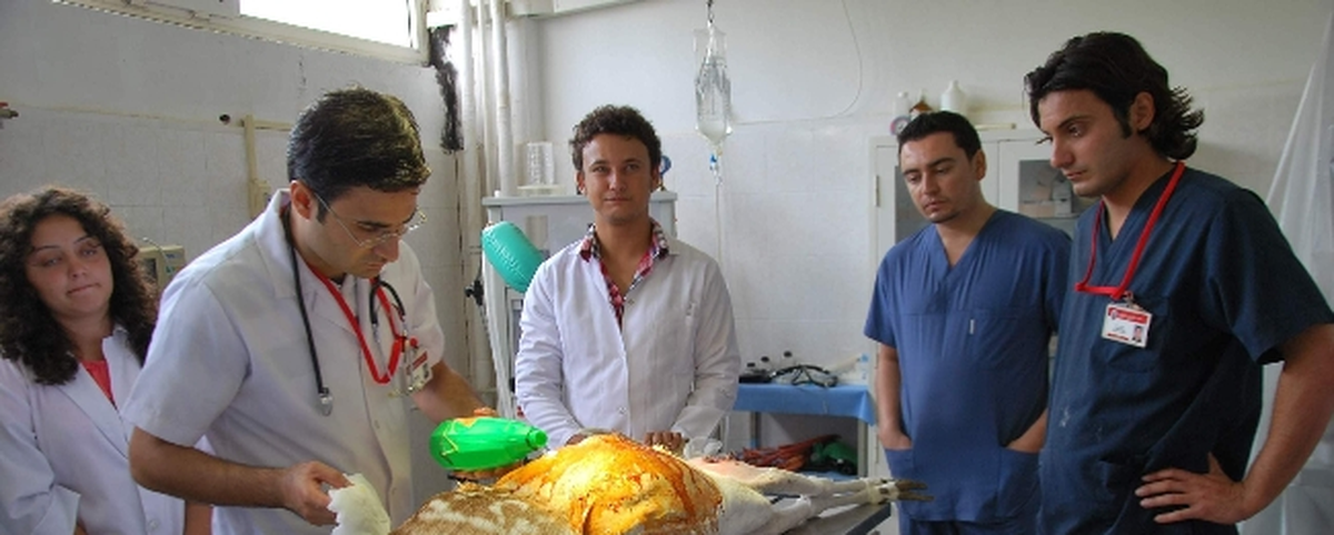 Tarım Bakanlığı, Önce Kör Olup Sonra Ölen Dağ Keçileri ile İlgili Çalışma Başlattı