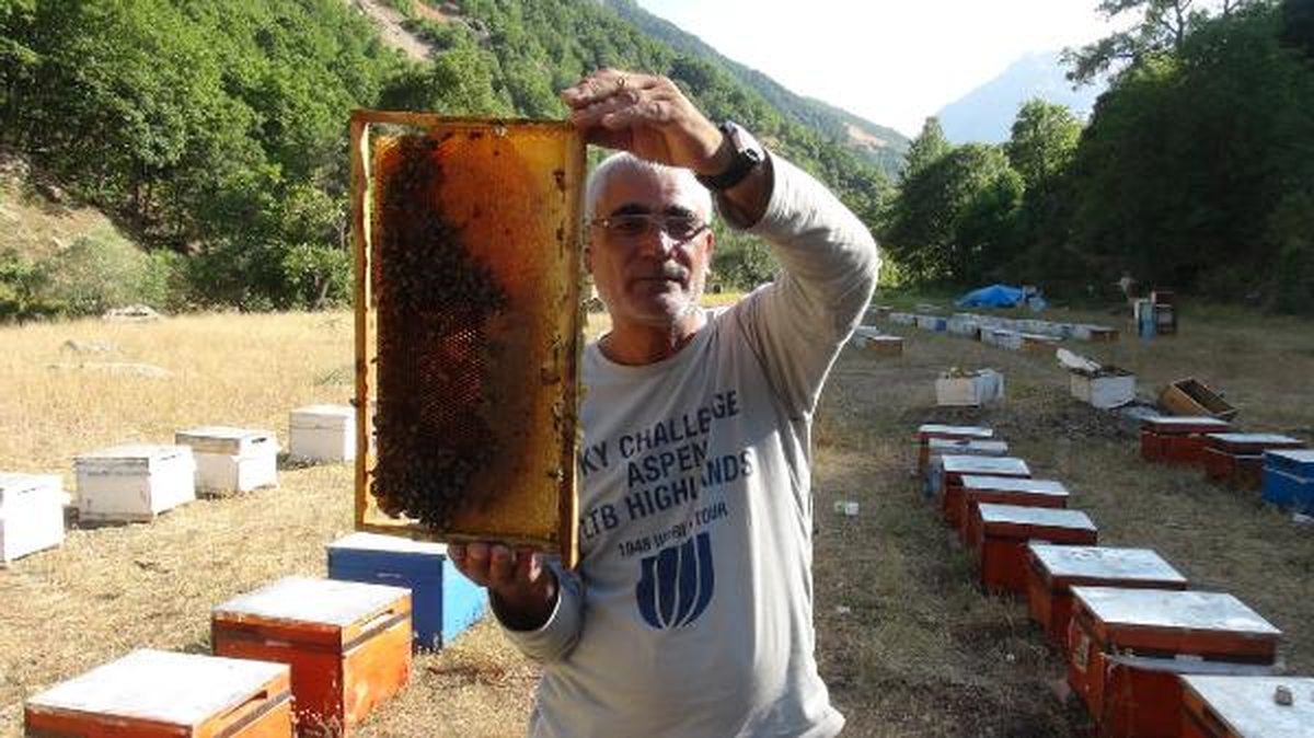 Tunceli\'nin Ahpanis Vadisi, Bal Üretimiyle Öne Çıktı