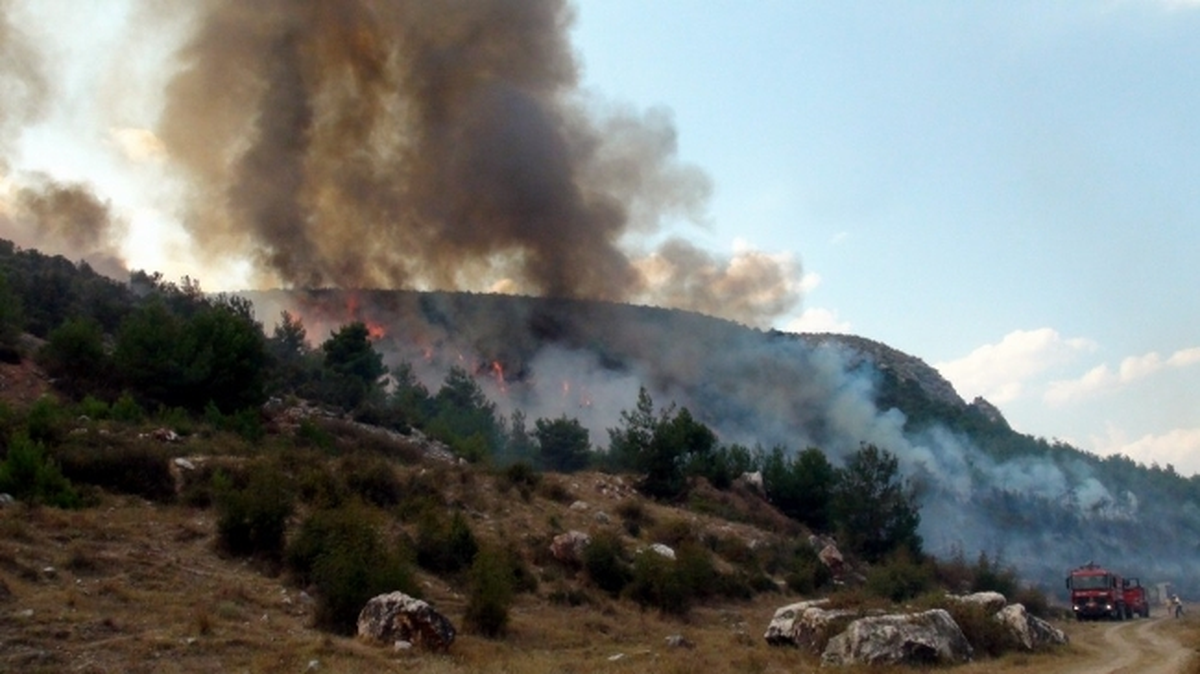 Balık Pişirmek İçin Yakılan Ateş Orman Yaktı