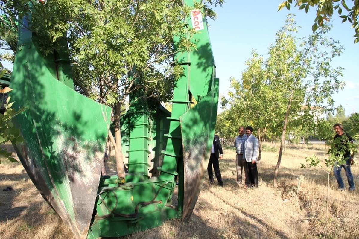 Erzincan Belediyesi\'nden Ağaçlandırma Çalışması