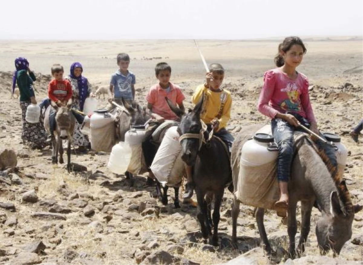 Köylüler Eşek Sırtında Su Taşıyor