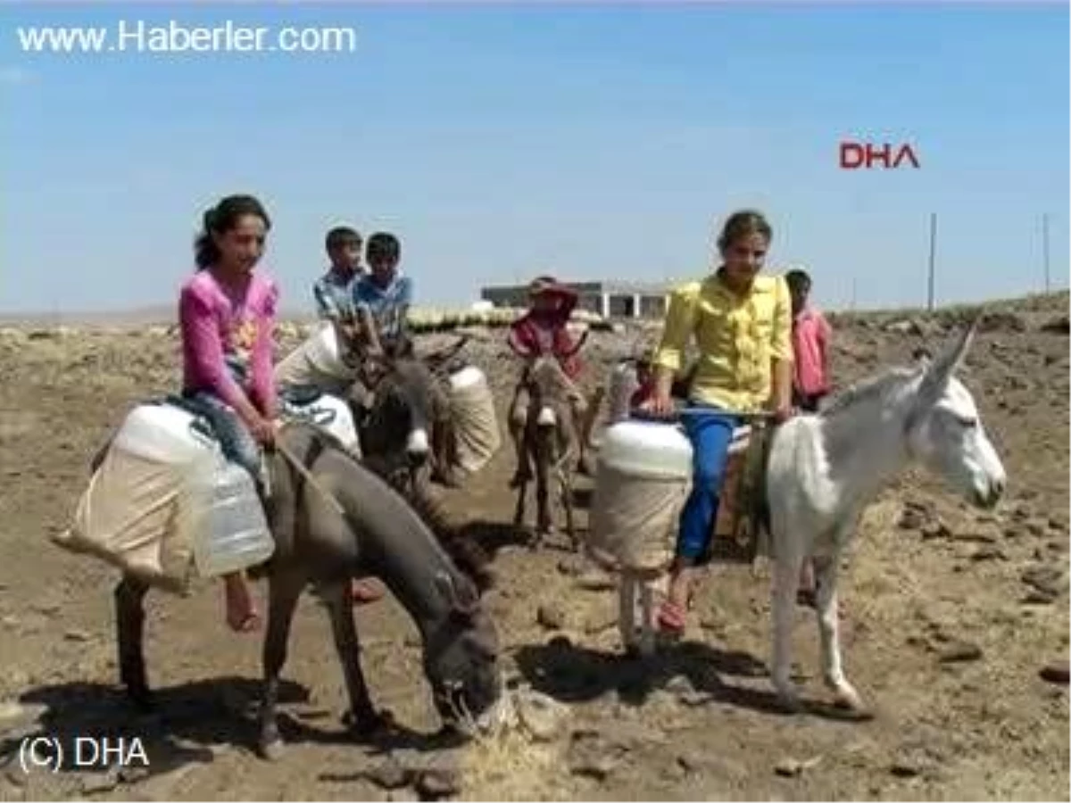 Şanlıurfa Köylüler Eşek Sırtında Su Taşıyorlar