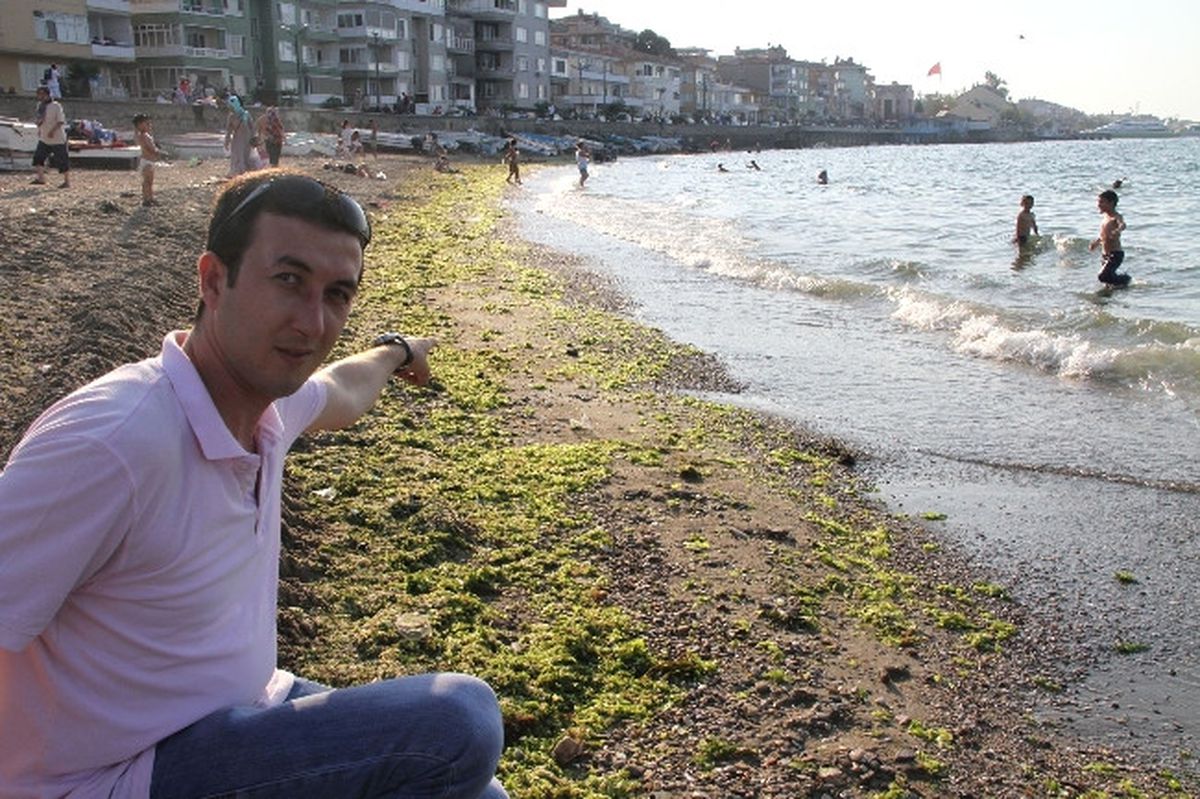Yosun Deryasında Serinlik