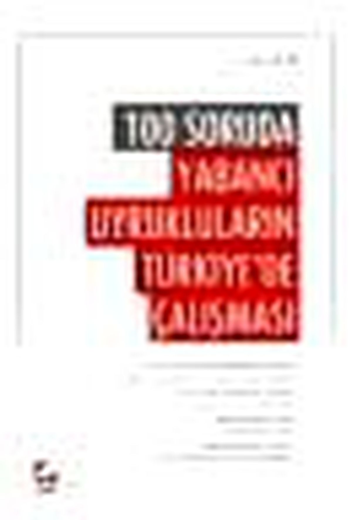100 Soruda Yabancı Uyrukluların Türkiye\'de Çalışması Kitabı