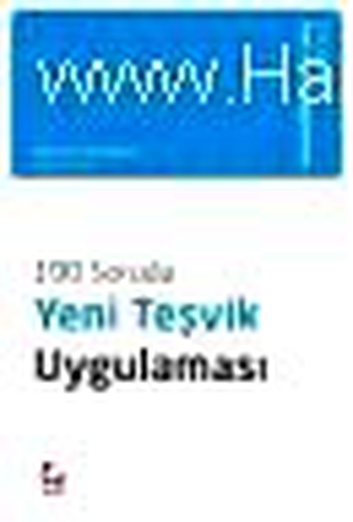100 Soruda Yeni Teşvik Uygulaması Kitabı
