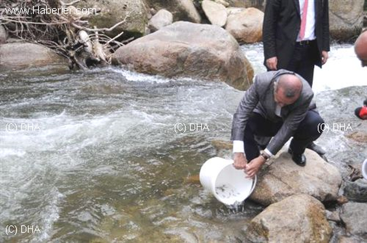 Başbakan Erdoğan Dereye Alabalık Bıraktı