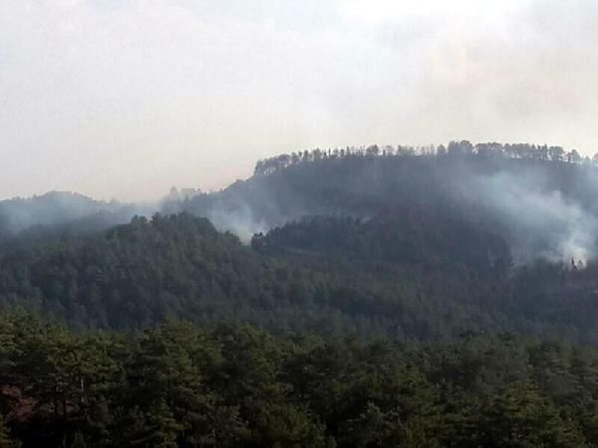 Bolu\'da Orman Yangını
