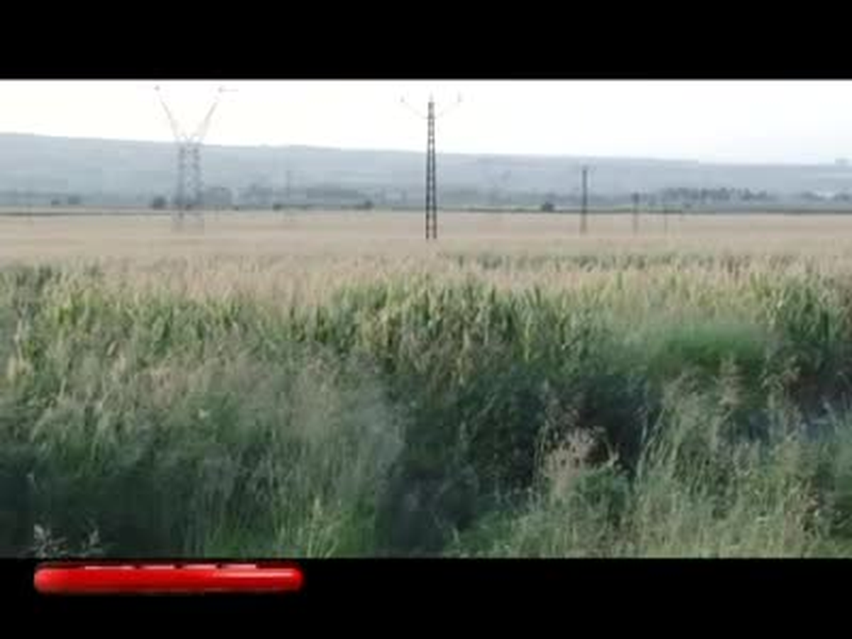 Hasan Üstün, \'Cinayetlerin Nedeni Arazi Toplulaştırmadan Kaynaklı\'